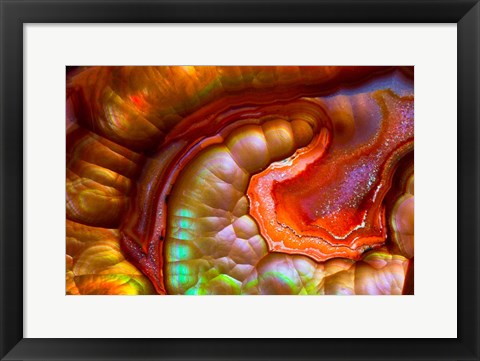 Framed Fire Opal from Australia 1 Print