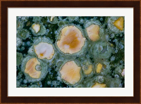 Framed Ocean Jasper from Madagascar 2 Print