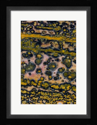 Framed Ocean Jasper from Madagascar 4 Print