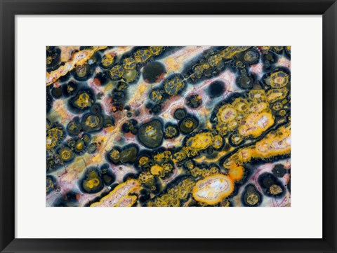 Framed Ocean Jasper from Madagascar 6 Print