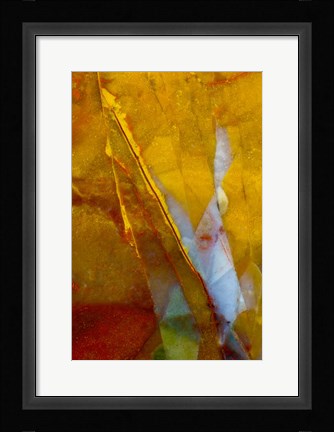 Framed Piute Jasper 2 Print