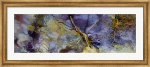 Framed Purple Jasper Print