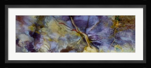 Framed Purple Jasper Print