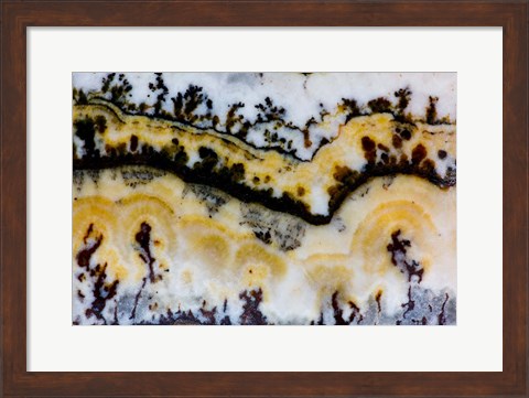 Framed Silver Lace Onyx 1 Print