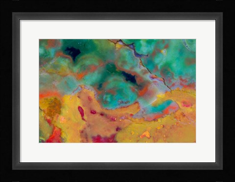 Framed Christmas Jasper 1 Print