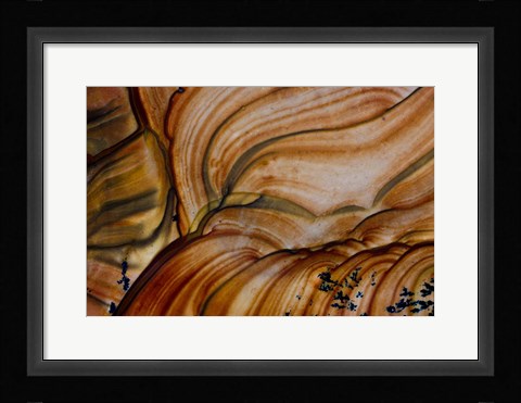 Framed Deschutes Jasper from Oregon Print