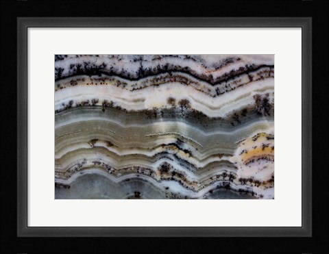 Framed Silver Lace Onyx 2 Print