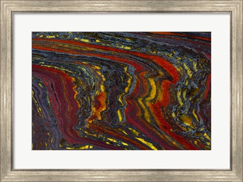 Framed Tiger Iron in Red, Yellow, Blue Print