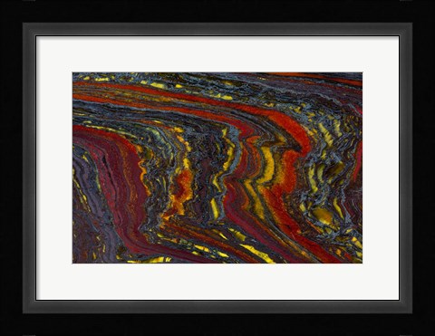 Framed Tiger Iron in Red, Yellow, Blue Print