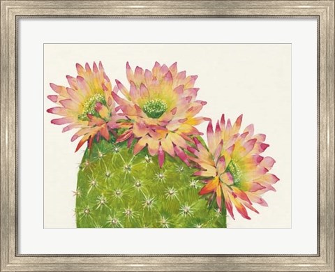 Framed Desert Blossoms I Print