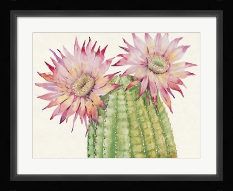 Framed Desert Blossoms II Print