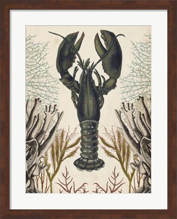 Framed Antiquarian Menagerie - Lobster Print