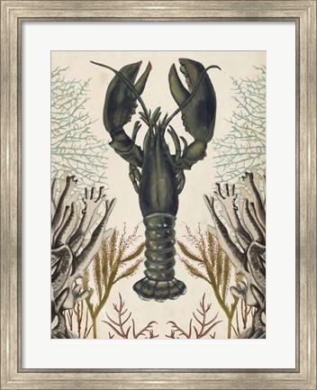 Framed Antiquarian Menagerie - Lobster Print