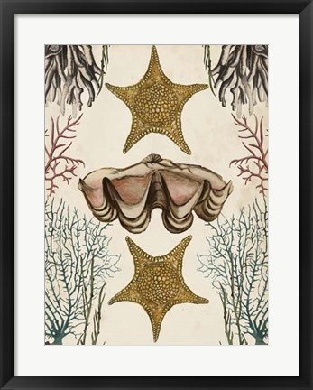 Framed Antiquarian Menagerie - Starfish Print