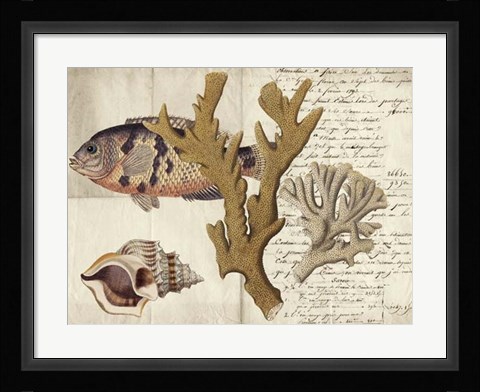 Framed Sealife Journal I Print