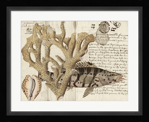 Framed Sealife Journal II Print