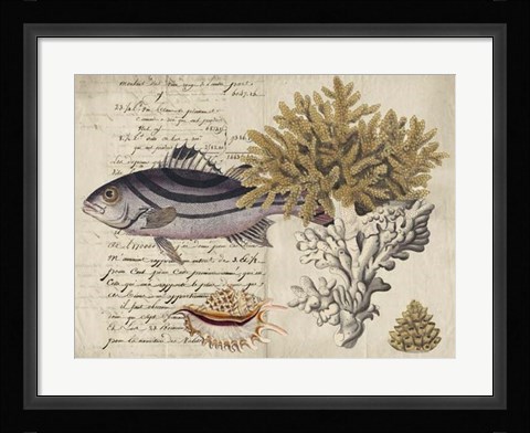 Framed Sealife Journal III Print