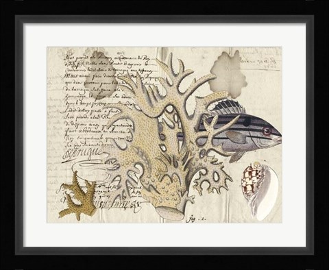 Framed Sealife Journal IV Print