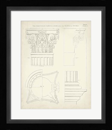 Framed Greek &amp; Roman Architecture I Print