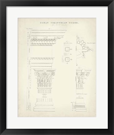 Framed Greek &amp; Roman Architecture II Print