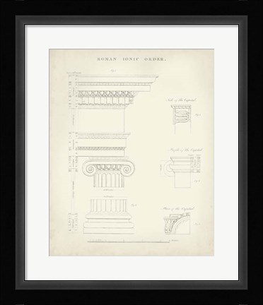 Framed Greek &amp; Roman Architecture V Print