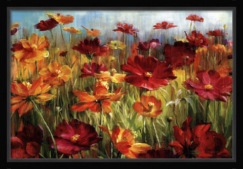 Framed Cosmos In The Field Print