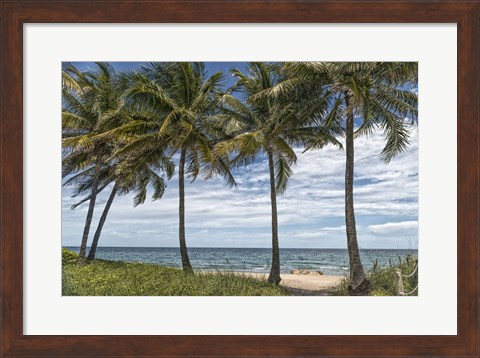 Framed Beach Palms Print
