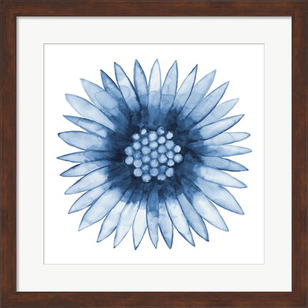 Framed Blue Daisy Print