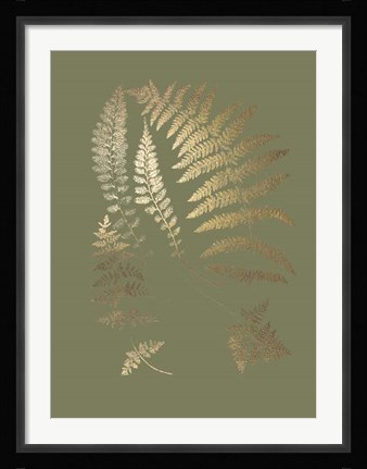 Framed Gold Foil Ferns II on Mid Green - Metallic Foil Print