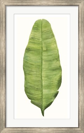 Framed Tropical Breeze Leaves IV Print