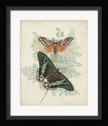 Framed Butterflies &amp; Ferns I Print
