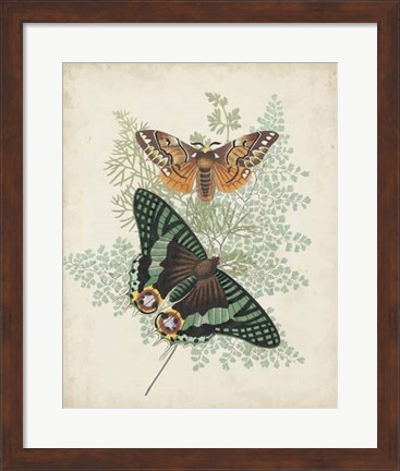 Framed Butterflies &amp; Ferns I Print