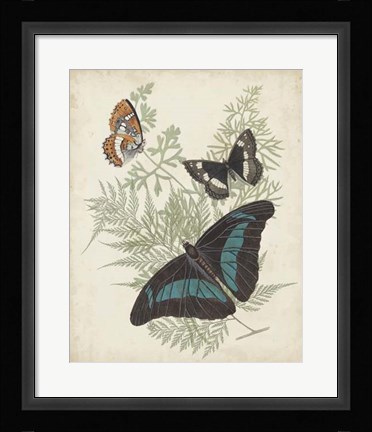 Framed Butterflies &amp; Ferns II Print