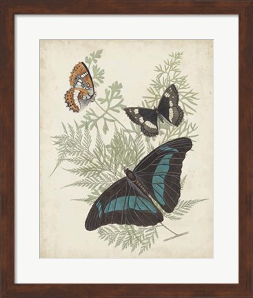 Framed Butterflies &amp; Ferns II Print