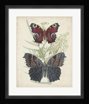 Framed Butterflies &amp; Ferns III Print