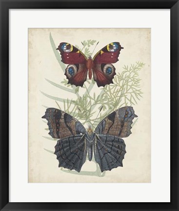 Framed Butterflies &amp; Ferns III Print