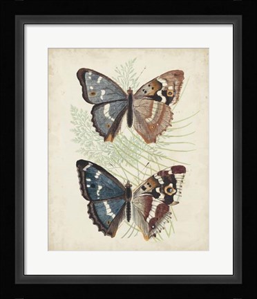 Framed Butterflies &amp; Ferns IV Print