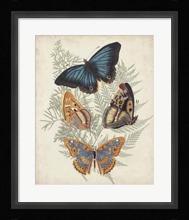 Framed Butterflies &amp; Ferns V Print