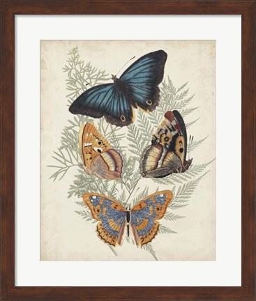Framed Butterflies &amp; Ferns V Print