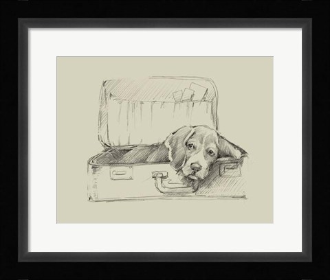 Framed Stowaway II Print