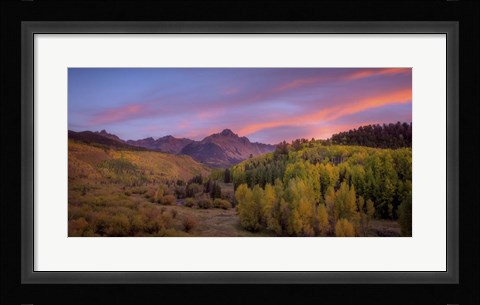Framed Foliage Sunset Print