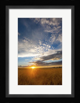 Framed Wheat Field Sunset Print