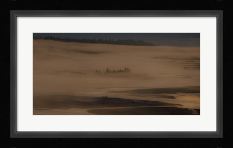 Framed Trees in the Fog Print