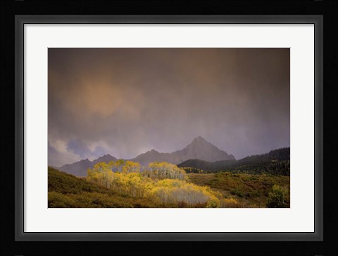 Framed Mountain Aspens Print