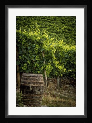 Framed Vines Print