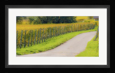 Framed Road along Fields Print