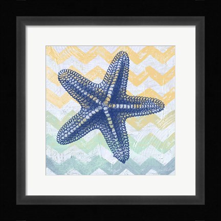 Framed Chevron Star Fish Print