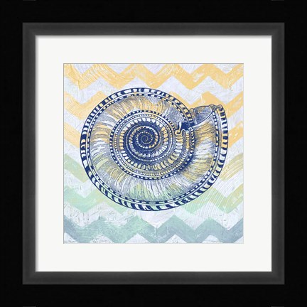 Framed Sea Creatures - Shell I Print