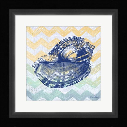 Framed Sea Creatures -Shell II Print