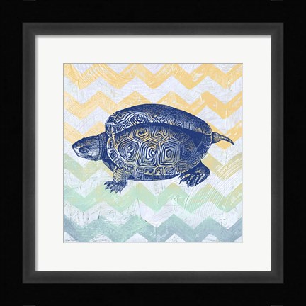 Framed Sea Creatures - Turtle Print